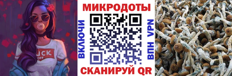 Галлюциногенные грибы мухоморы  Миньяр 